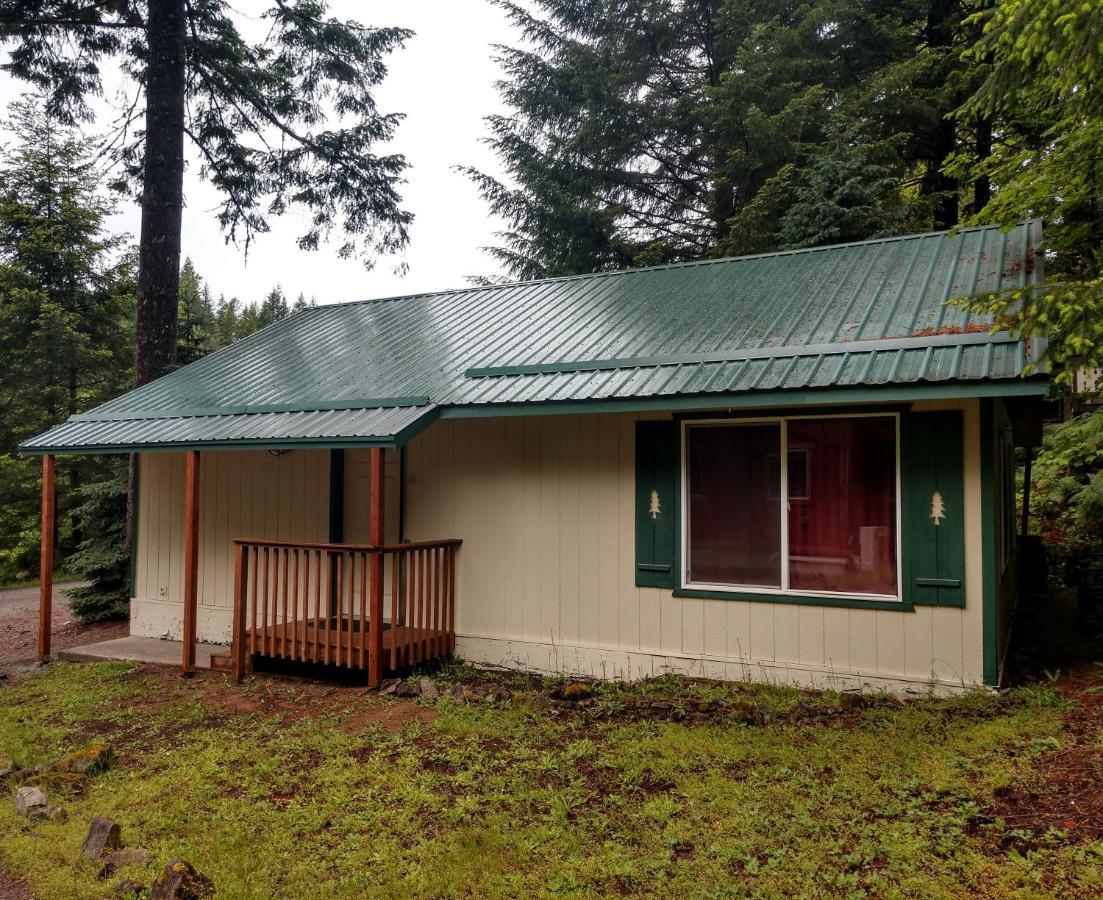 Hall Creek Cabin Packwood Exterior foto